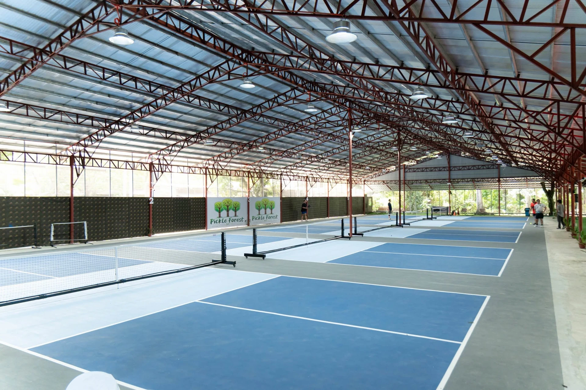 Wide view of the courts at Pickle Forest